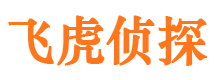 卧龙找人公司